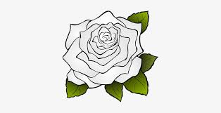 Enter the world of chanel and discover the latest in fashion & accessories, eyewear, fragrance, skincare & makeup, fine jewellery & watches. Gardenia Drawing White Rose Bunga Mawar Icon Png Transparent Png 356x340 Free Download On Nicepng