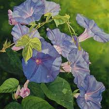 Vicki Greene Watercolor Flower Art Flower Painting Watercolor Flowers