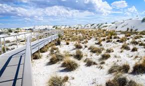 Maybe you would like to learn more about one of these? 12 Fun Things To Do In New Mexico With Kids For 2021