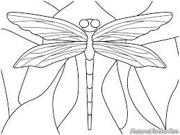 Kids also love to experiment with colors while dabbling with dragonfly coloring pages. Related Dragonfly Coloring Pages Item 3330 Dragonfly Coloring Pages Dragonfly Coloring Pages Free Printable Coloring Pages Printable Coloring Pages Free Printable Coloring Pages Printable Coloring Pages