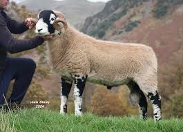 Profile for Lewis Staley photography