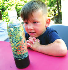 Friends of the Library