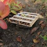 Bug Hotel