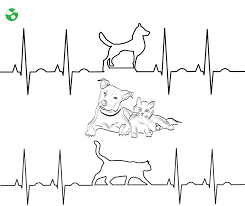 Of the primary cardiomyopathies, hypertrophic cardiomyopathy (hcm) is the most common type; Diet Related Heart Disease In Dogs And Cats Dilated Cardiomyopathy Midoricide