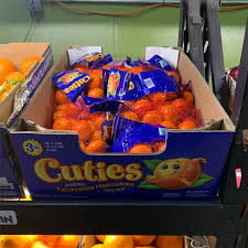 × deliciosa) and a sweet orange (c. Cutie Tangerines Information And Facts