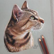 Strathmore Artist Papers On Instagram Yesterday Was For The Dog Lovers To Keep Things Fair Today Is For Th Cat Art Animal Drawings Colored Pencil Artwork