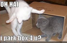 Oh Hai I Park Box 4 U Kittens Funny Cat Love Cat Memes Clean