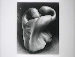 He made contact prints from his 4×5″ or 8×10″ negatives. This Iconic Still Life Photo Was Shot At F 240 For 6 Hours Digital Photography Review