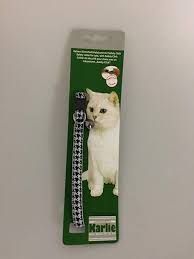 Pin Auf Katzen Spielzeug Co