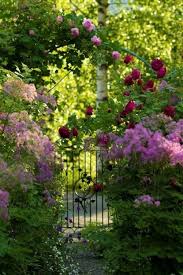 Time To Be Consumed By Good Vibes Lovely Cottage Surrounded By Flowers In 2020 Beautiful Gardens Dream Garden Gorgeous Gardens