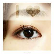 アーモンドアイって 聞いたことがありますか 女優の北川景子さんに代表されるような 切れ長でパッチリとした目のことです ちょっとしたメイクのポイントをおさえるだけで このアーモンドアイが手に入るんです ぜひ挑戦してみましょう アイメイク 蒙古襞 メイク