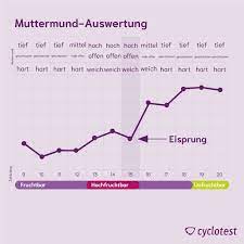 Sie werden durch hormonelle veränderungen ausgelöst je weiter sich der eisprungtermin nähert, desto weicher wird die beschaffenheit des muttermundes. Was Ist Der Muttermund Wie Kann Ich Ihn Ertasten Cyclotest