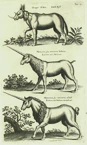 The Fool Is Number Zero My Friend Evolution Of The Unicorn Scientific Illustration Bestiary Mythological Creatures