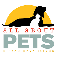 Puppies for you they are all vet checked, home trained.and house broken these puppies will be coming along with all health records includes their playing toys. All About Pets Hilton Head Island