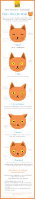 How To Decode Cat Language Because There S A Reason Fluffy S Eyes Are So Wide Infographics Cat Behavior Cat Care Cat Care Tips