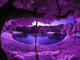 Awesome Nature Photography Moon Sun Ice Mountains صور للطبيعه الخلابه Art Pics Design Now With Arabic Co Scenery All Things Purple Beautiful Nature