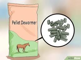 Deworming is the process that involves the use of medication to get rid. 3 Ways To Deworm A Horse Wikihow