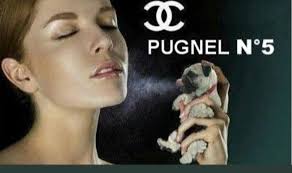 Favorite scent that's Not a perfume?