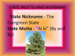 Check spelling or type a new query. Washington By Gabby Evans State Symbols Flower Coast Rhododendron Tree Western Hemlock Bird Willow Goldfinch Washington S Flower Washington S Tree Ppt Download