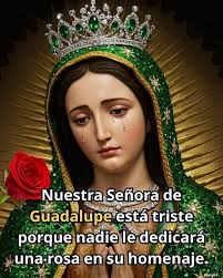 Buenos días papito Dios por un día maravilloso que me regalas