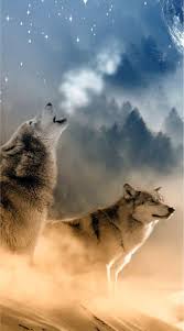 Peluncur yang sangat komplit untuk android 4.0. Fox Wolf Wallpaper Hd For Android Apk Download