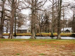 Maybe you would like to learn more about one of these? Reelfoot Lake State Park Cabins Tennessee State Parks