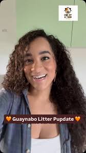 Felix, Felix, Felix! We are so in love with you. He hasn't even been with  his foster mommy for a week, and he is already showing signs of improvement  with a healthier