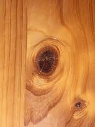 knotty pine walls
