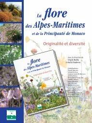 Image result for Rhynchosia pseudoviscosa