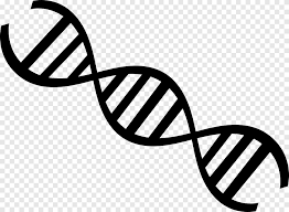 Touch device users, explore by touch or with swipe gestures. Biology Png Images Pngegg