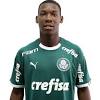 O encontro com o palmeiras aconteceu em 2017, quando membros da equipe de análise e desempenho foram até o rio para acompanhar a edição da taça das favelas daquele ano e buscar jovens talentos. 1