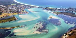 fishing destination forster tuncurry fishing world