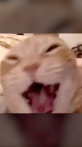 Rick Astley Corner Image