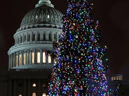 For their annual zoo lights event. Every Christmas Tree Worth Visiting In The D C Area Curbed Dc