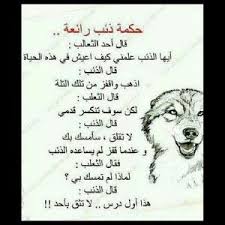 حكمة ذئب Funny Quotes True Words Quotations
