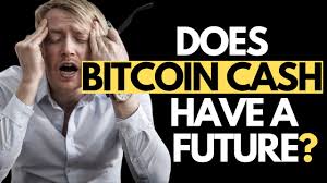 Finally, 2025 will see bitcoin cash finally shining as its price will have a massive 1000+% increase (2027%. Pbg0in9hll9d5m