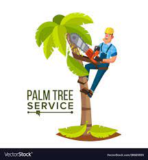 Palm Tree Service Professional Man Vector Image On Vectorstock Tree Service Palm Tree Trimming Tree Pruning