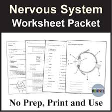 Image result for Neurology Worksheets