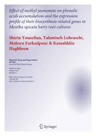 We did not find results for: Pdf Effect Of Methyl Jasmonate On Phenolic Acids Accumulation And The Expression Profile Of Their Biosynthesis Related Genes In Mentha Spicata Hairy Root Cultures