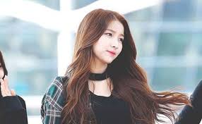 Aid dia official fan color: Sowon Gfriend Members Profile Vote