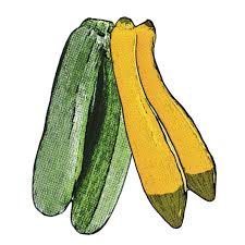 Squashes generally refer to four species of the genus cucurbita, some varieties of which are also species of squash include hubbard squash, buttercup squash, butternut squash, pumpkins, acorn squash, summer squash and zucchini. Summer Squash Put Local On Your Tray