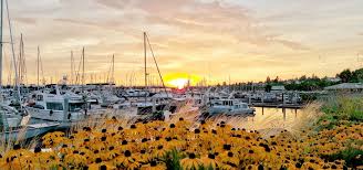 Read real reviews and see ratings for bellingham, wa real estate agents near you to help you pick the right pro real estate agent. Fairhaven Realty Bellingham Wa Real Estate