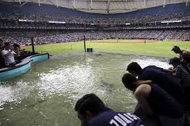 80 Factual Tampa Rays Seating Chart Rows