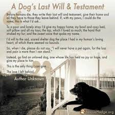 Losing A Pet To Death Can Crush You In A Way That May Be Even More Devastating Than If You Lost A Loved One Bwe Is A Releas Dog Love Will