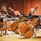 Chamber Orchestra groups event in Huntley, IL
