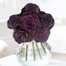 Handy flowers is your local online flower shop that puts your needs first. Efbzvzqtjlfx2m