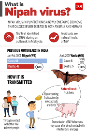 The virus can spread to human beings when one comes in contact with an infected bat or pig (although bats are considered as the primary cause). Bat Nipah Virus Transmission Of The Nipah Virus 1 Fruit Bats Acts As Surveillance For Nipah Virus Nv Was Conducted In Thailand S Bat Population