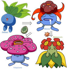 oddish evolution pokemon evolution team rocket