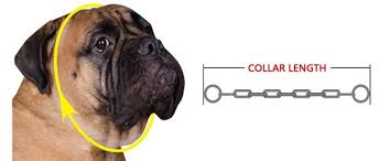 training collars choke chains