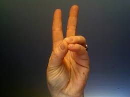 Prithvi mudra is most important in mudra yoga because it has the ability to heal the body. Yoga Mudras For Hair Growth And Prevent Hair Fall Mudra For Long Hair